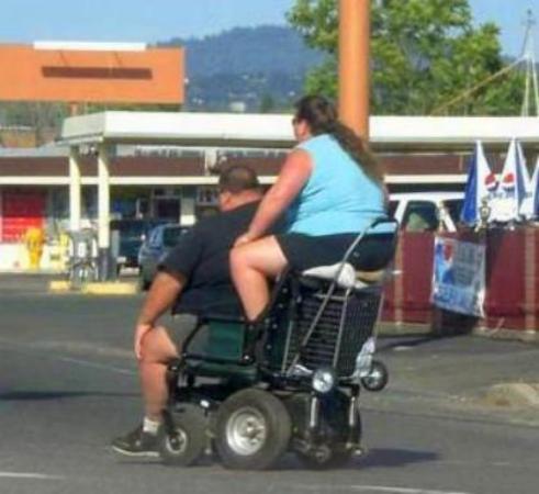 Collection Of Funny Pictures And Videos