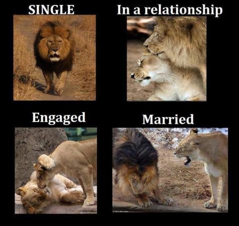 single relationship