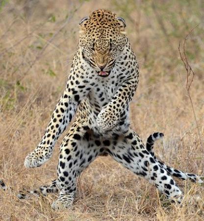 Funny African Pictures on Fun Zone  Lets Come On Baby Dance With Me