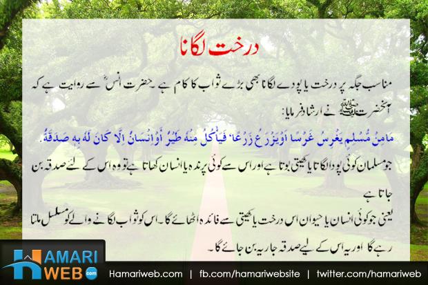 Pyare Nabi Ki Pyari Baatein Urdu Pdf Download