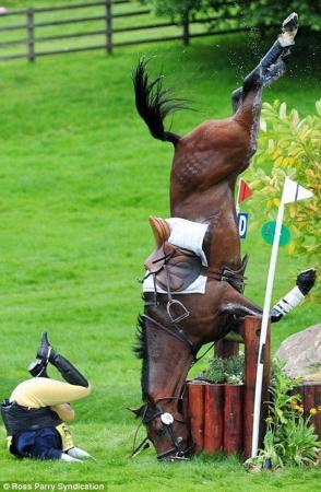 humti & dumti jumping on wall