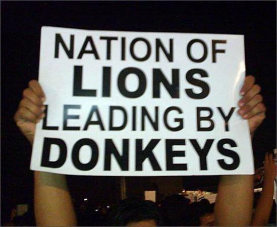 Nation of Lions Leading by Donkys