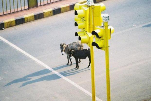 Well desclipine Gadhay