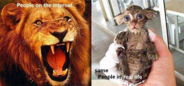 Internet and real Life