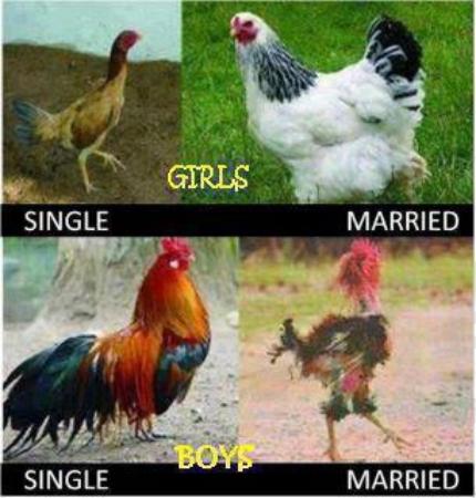 Single and after double