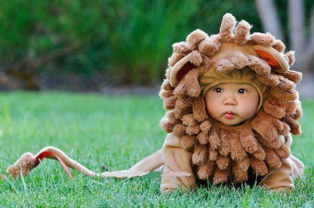 Lion Baby