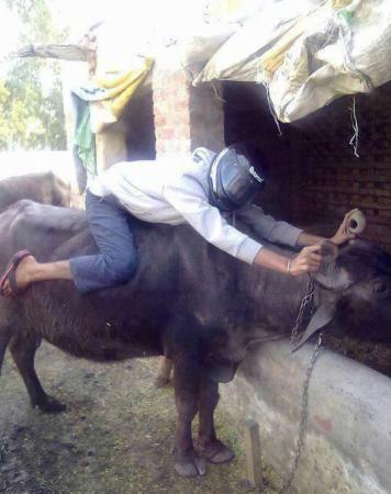 Dhoom in Village - Funny Images & Photos Dhoom in Village - Funny Images & Photos