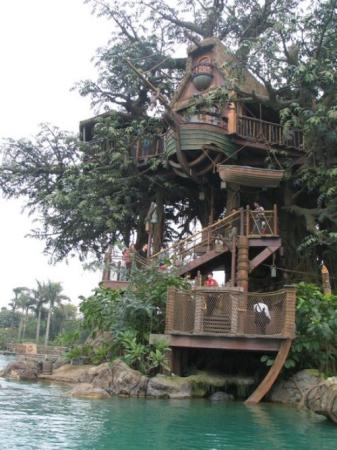 Tree House - Holiday & Travel Images & Photos