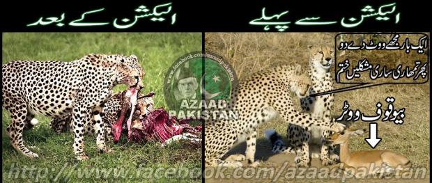 Jab Tak Baywaqoof Zindah Hain, Aqqalmand Bhokay Nahi Mar Saktay!