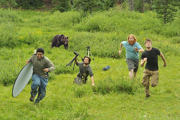 Bear Appears Suddenly During Shot