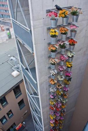 Flower Building