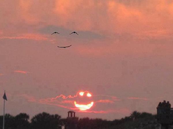 Smile of The Nature - Amazing Images & Photos