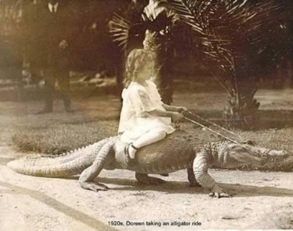 1920's, Doreen taking a pet Alligator ride... Brave Girl
