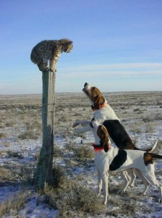 Beta Zara Mujay Bara Honay Do