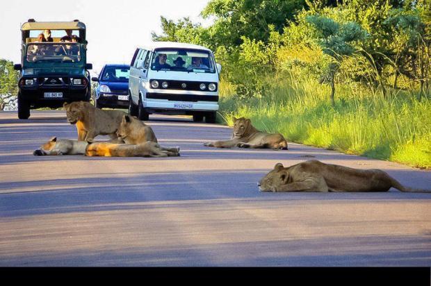 What will you do, if..........