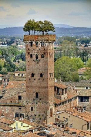 The Guinigi Tower - Lucca, Tuscany, Italy.