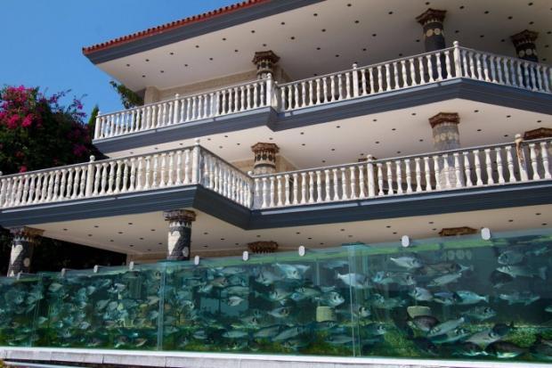 What a House....Fence made out of Fish Tank