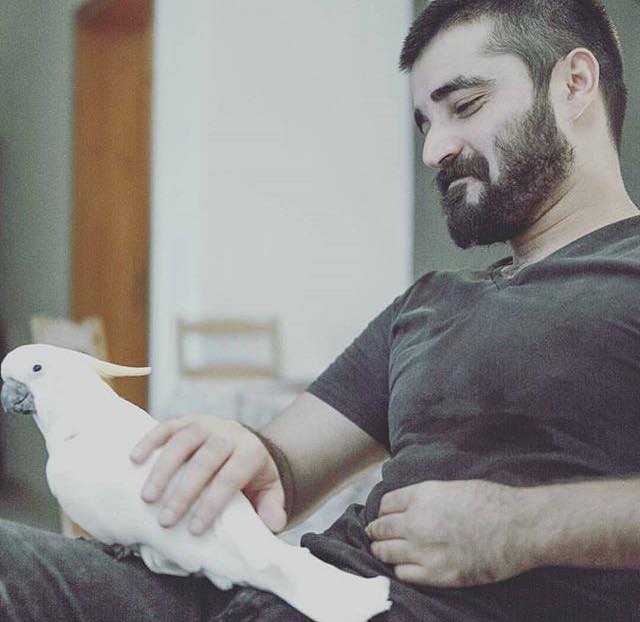 Hamza Ali Abbasi's with pet