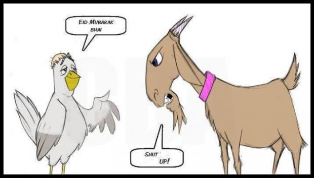 Bakray Ki Laay Lee..... buahhh