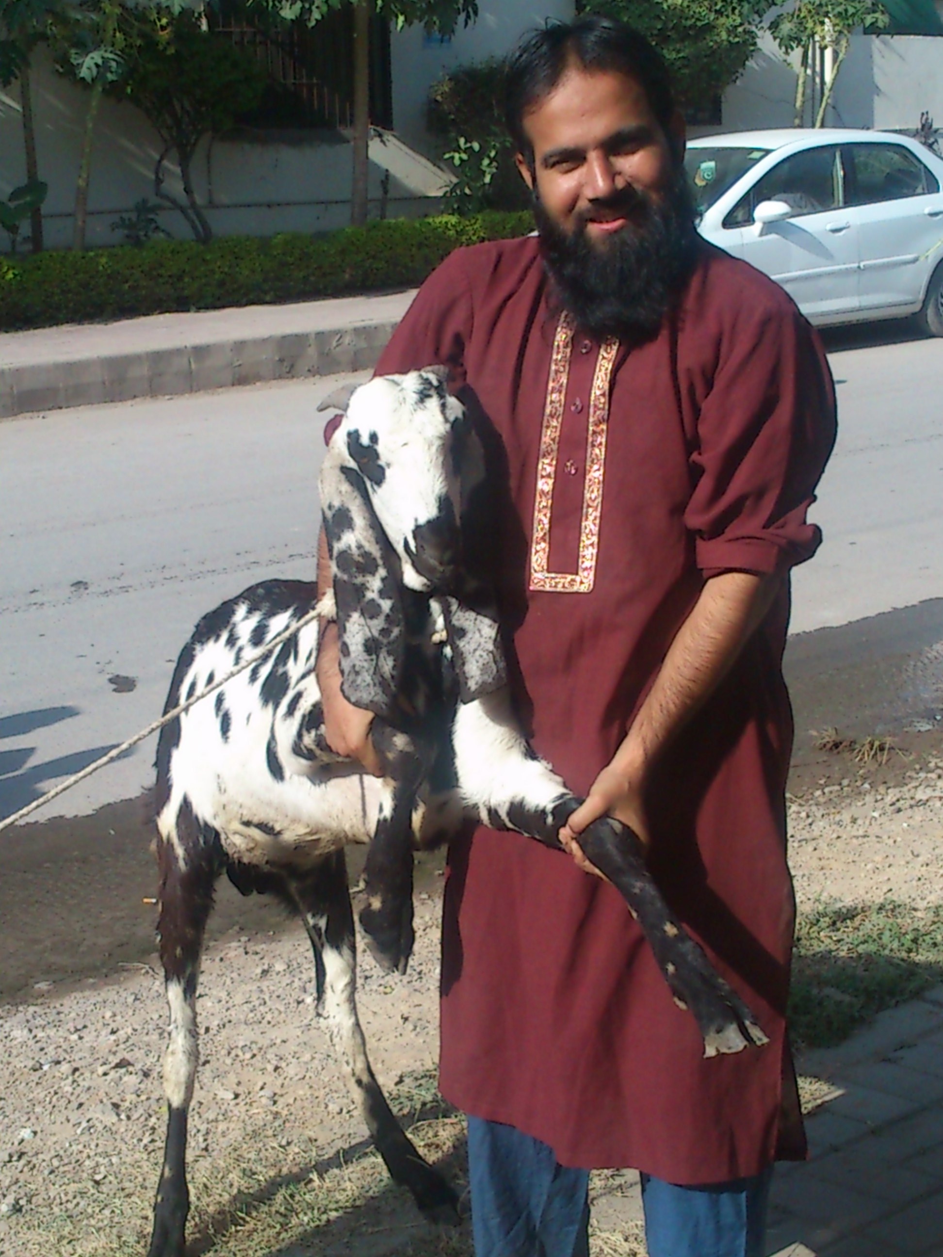 My Sweet Bakra