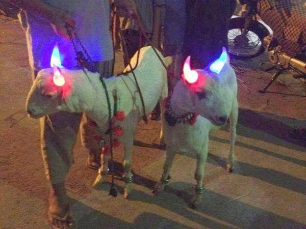 Samsung Galaxy S4 Bakray