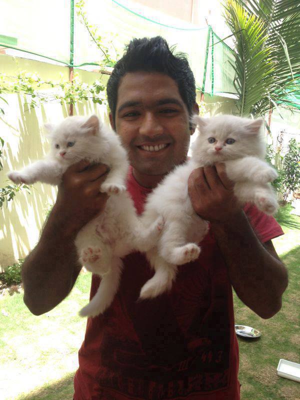 Asad Shafiq With His Cats