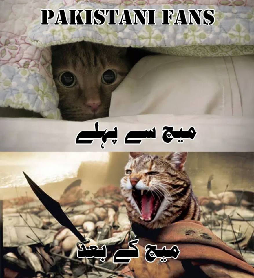 Pakistani Cricket Fan Before And After Match