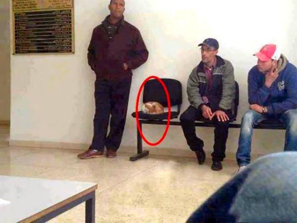 Don’t disturb the cat! Humanity at its best