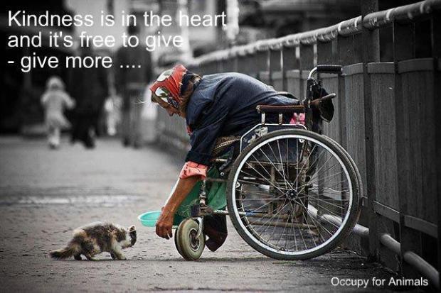 Kindness