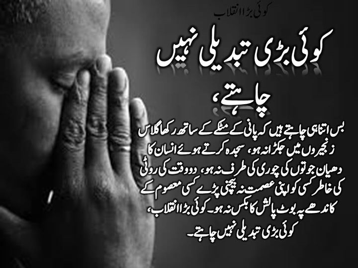 Koi Badi Tabdeeli Nahi Chahte