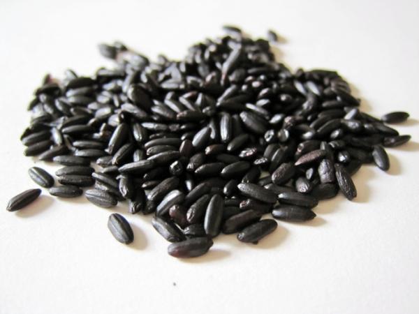 Black Rice