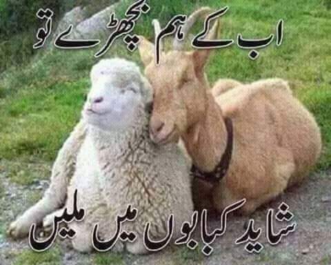 Ab Kai Hum Bichray Tou