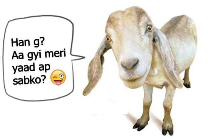 Agyi Meri Yad Sub Ko