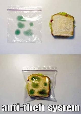Anti Theft Lunch Bags