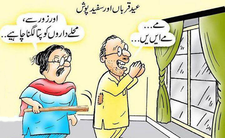 Bakra Eid 2014 Funny Picture