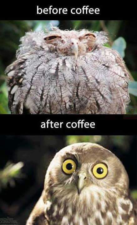 Before Coffee & After Coffee