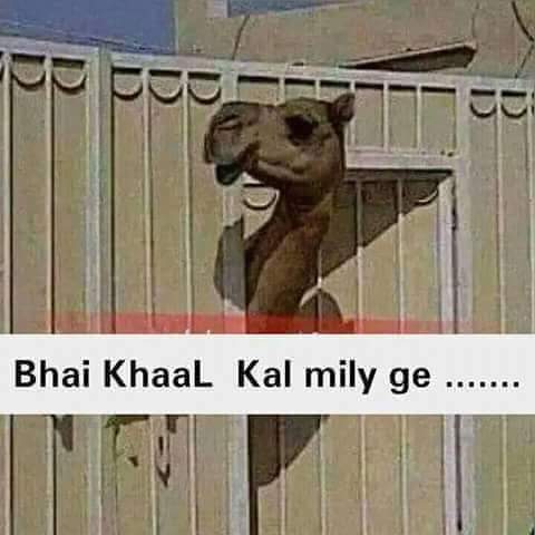 Bhai Khaal Kal Milegi
