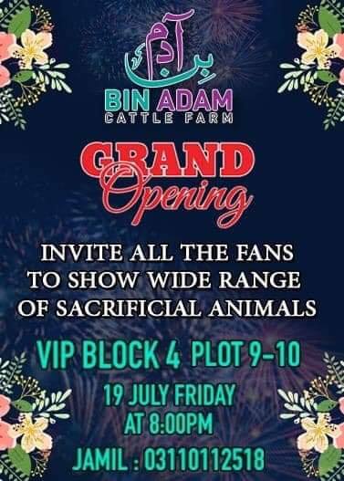 Bin Adam Cattle Farm 2019