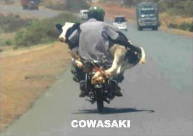 COWASAKI..