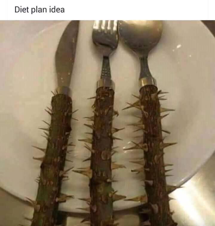 Diet Plan Idea