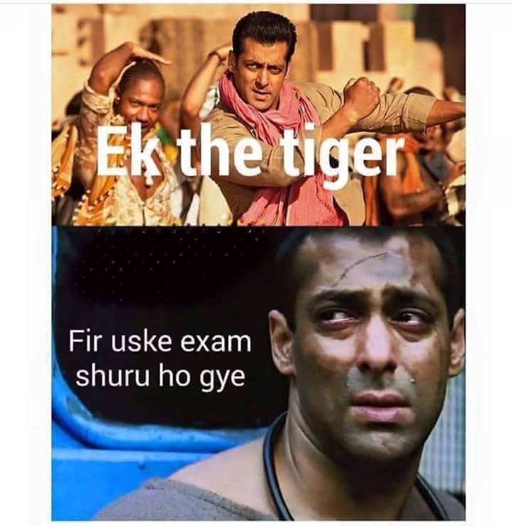 Ek tha Tiger