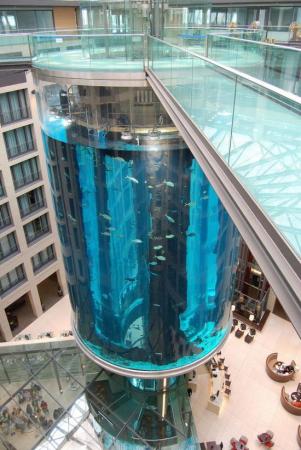Elevator Aquarium