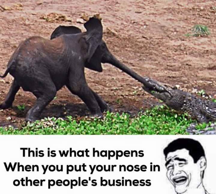 Exactly - Funny Images & Photos