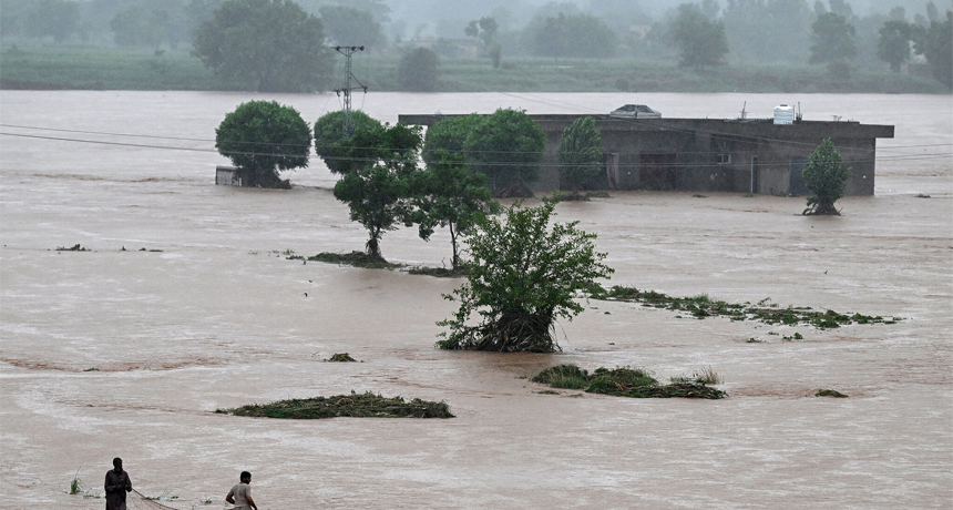 Flood Hits Famous Tourist Spot in Islamabad