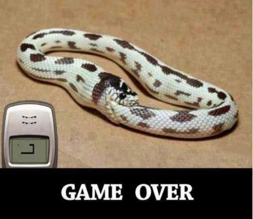 Game Over