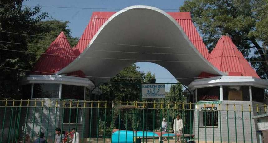 Govt Order To Shutdown Karachi Zoo Permanently