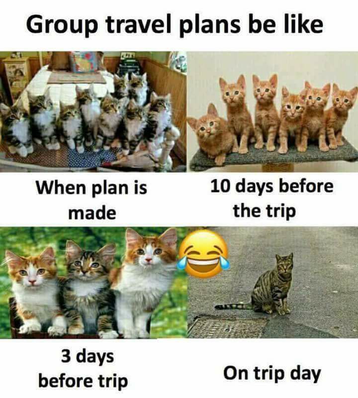 Group Travel Plan Be Like