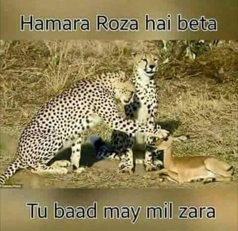 Hahaha Aww Bechara