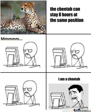 I am Cheeta