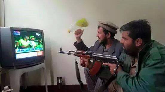 Just for fun - Pakistan Cricket fans After New Zeland Series